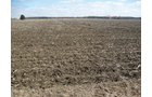 Property photo 18 - 127 Acres Offered in 4 Tracts